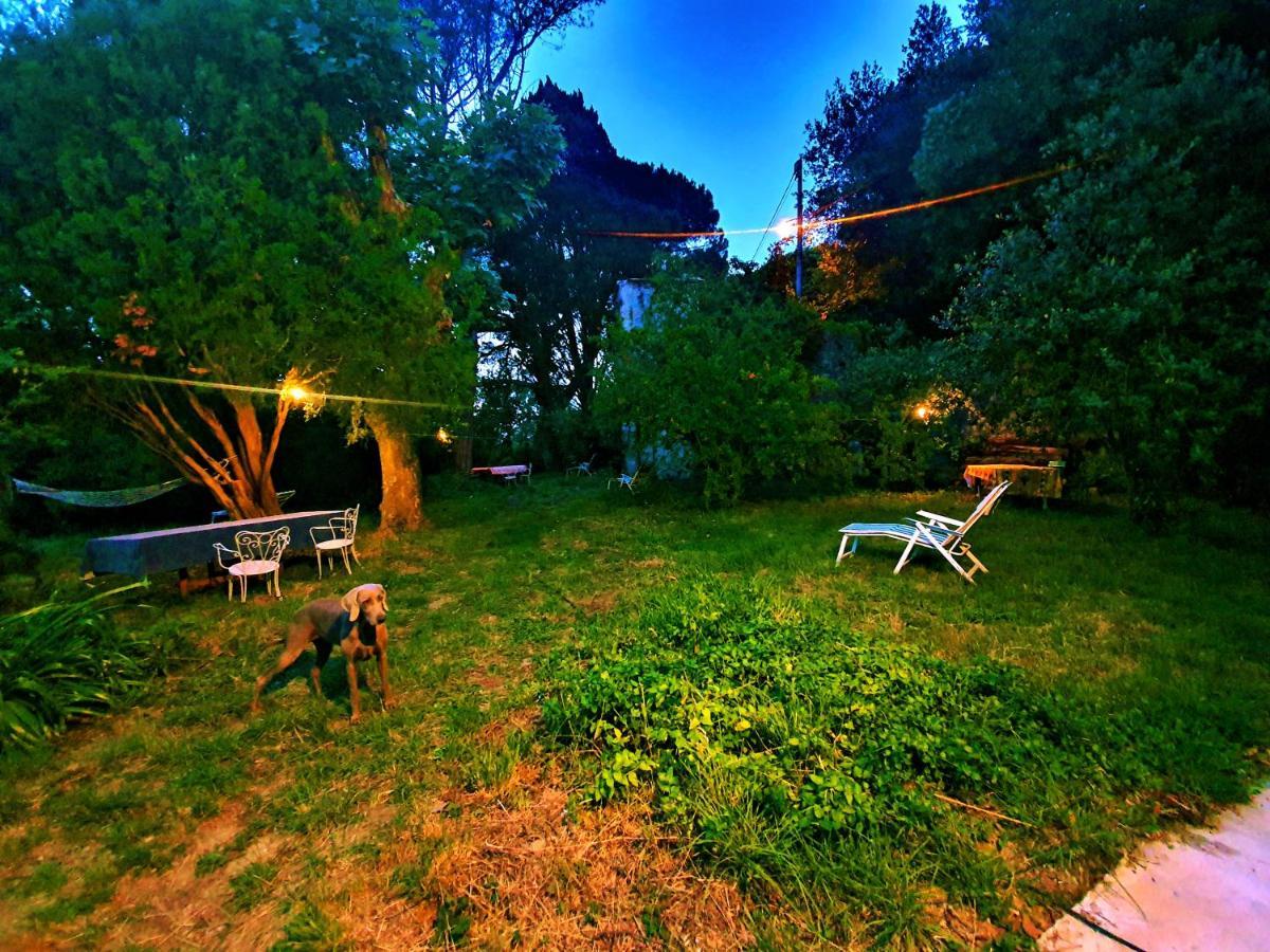 Villa De Benedetti Sarzana Ngoại thất bức ảnh