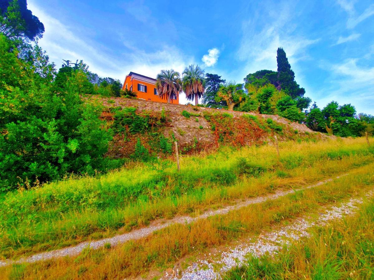 Villa De Benedetti Sarzana Ngoại thất bức ảnh
