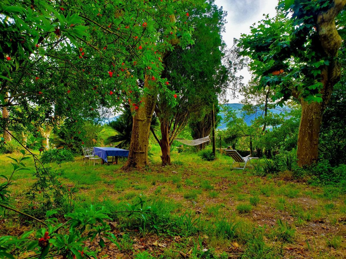 Villa De Benedetti Sarzana Ngoại thất bức ảnh